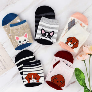 Dog Lovers Gift Box | Womens 5 pairs of socks
