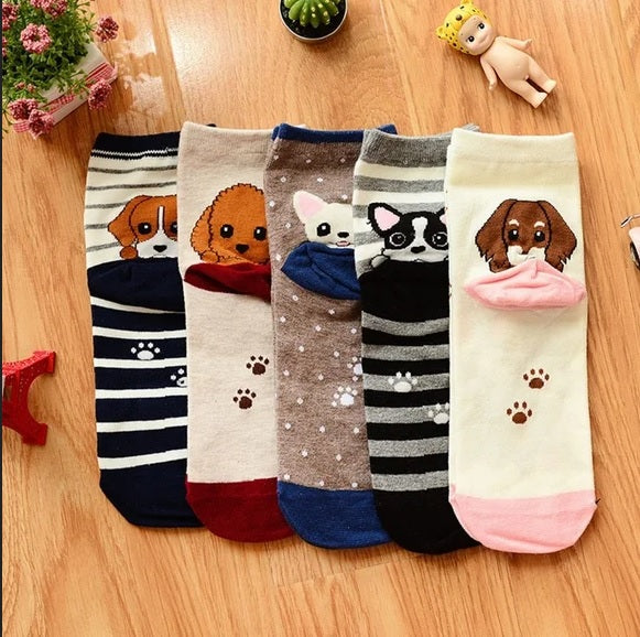 Gift Box for Dog Lover - Dog Socks - Set of 5