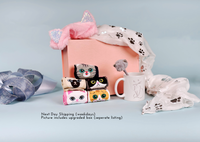 Catstravaganza Box | Scarf | Socks | Mug | Cat Ears | Pens