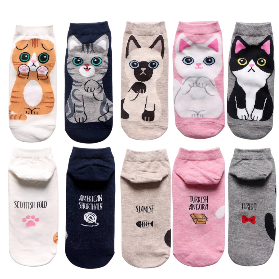 Meowzing Cat Socks Gift Box | Cat Scarf & Mug Set
