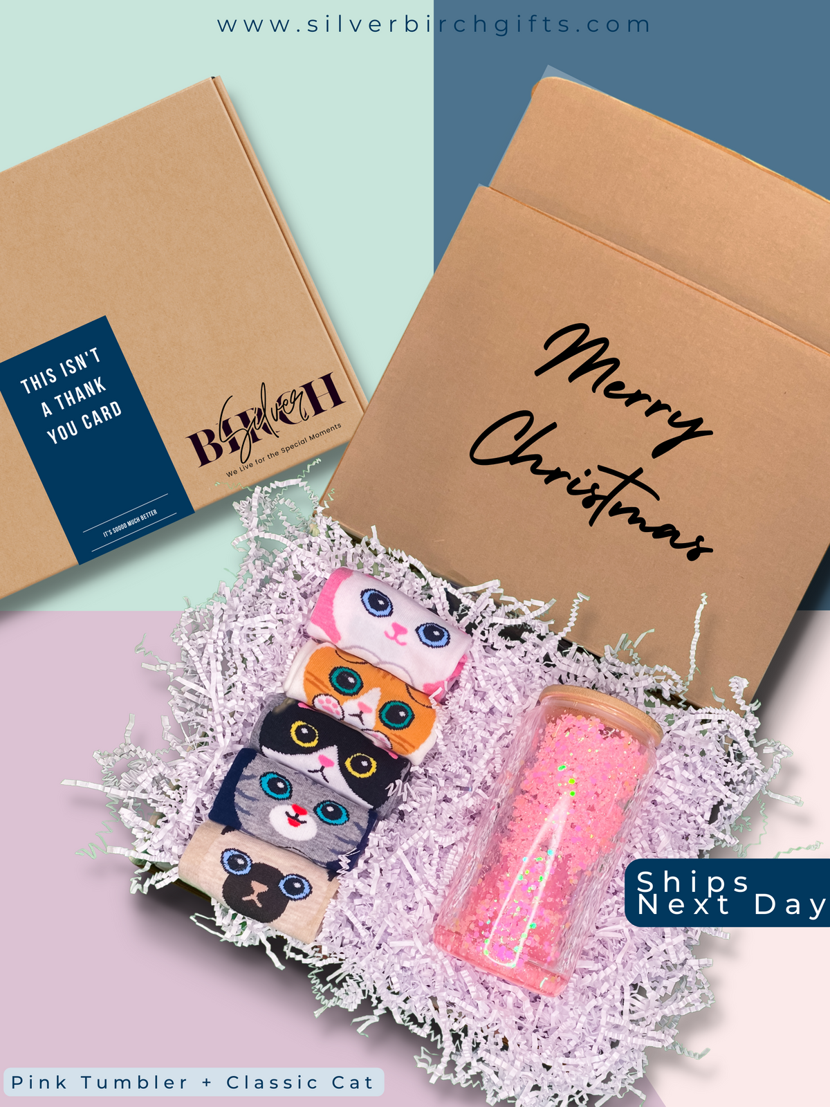 Snow Globe & Cute Socks